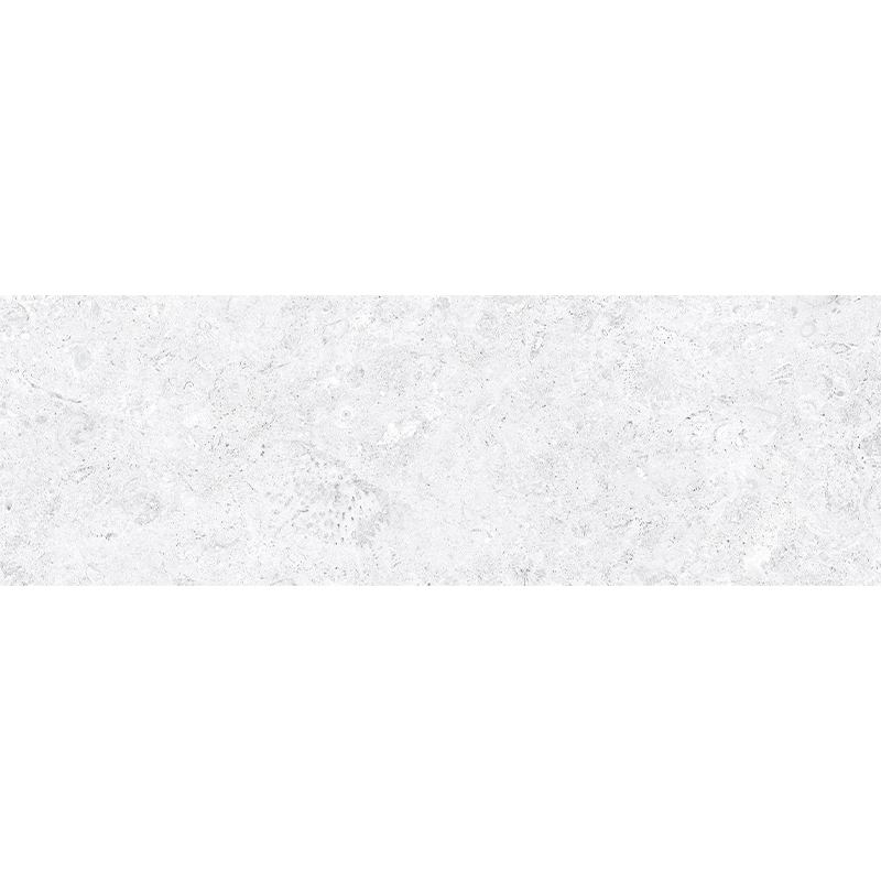CORALSTONE CTN (1 сорт)
