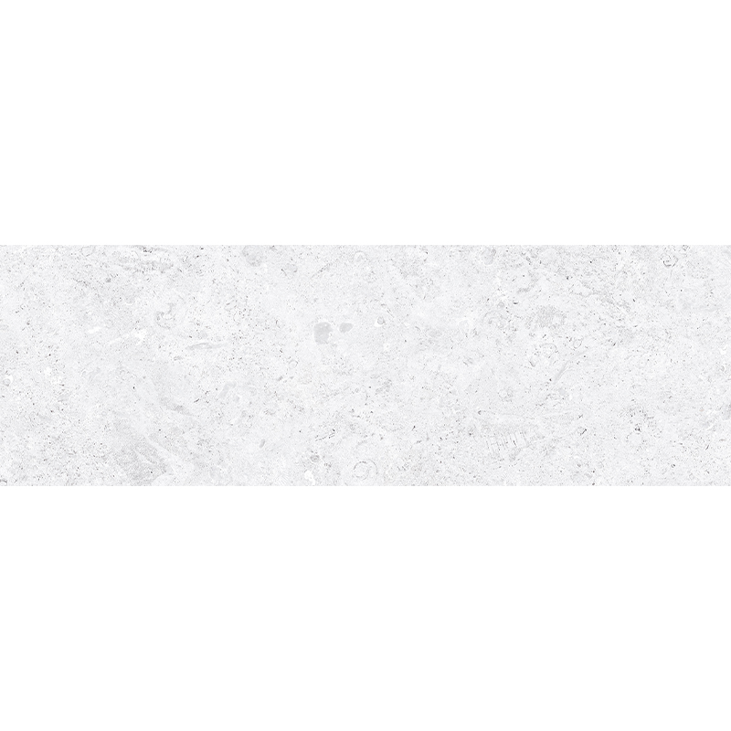 CORALSTONE CTN (1 сорт)