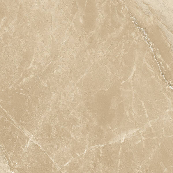 T66M025 ROAD IVORY (T1212P025) — фото 4