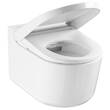 Унітаз-біде підвісний Grohe Sensia Pro 36508SH0  для змивних бачків прихованого монтажу, фото 10