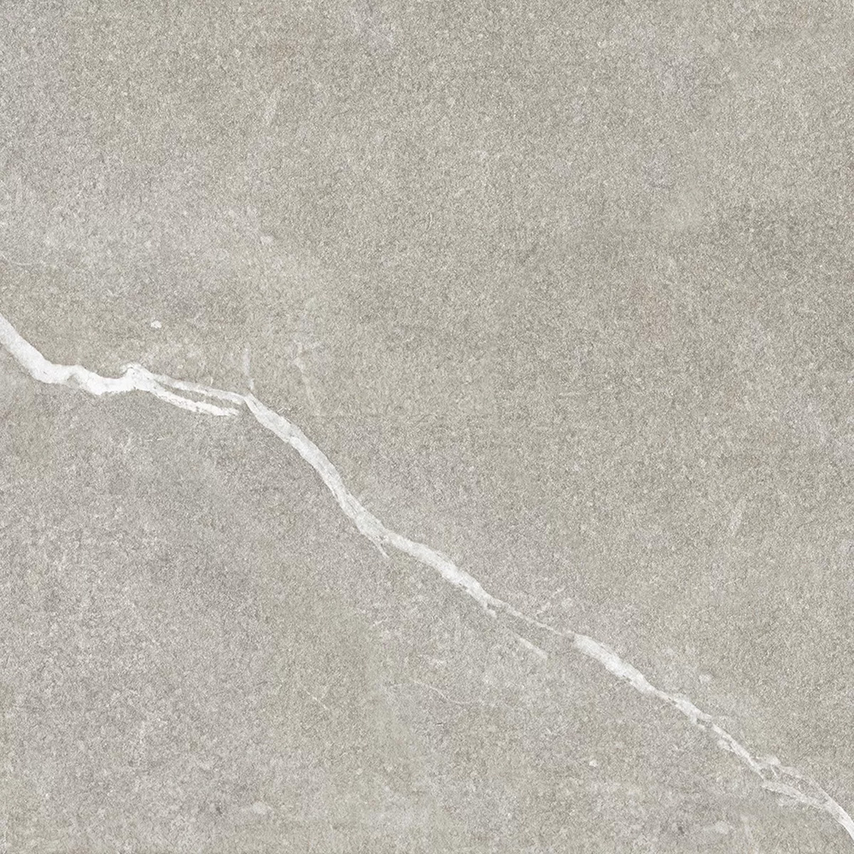 BASE_P ALBAROC GALENA C-3 (1 сорт)