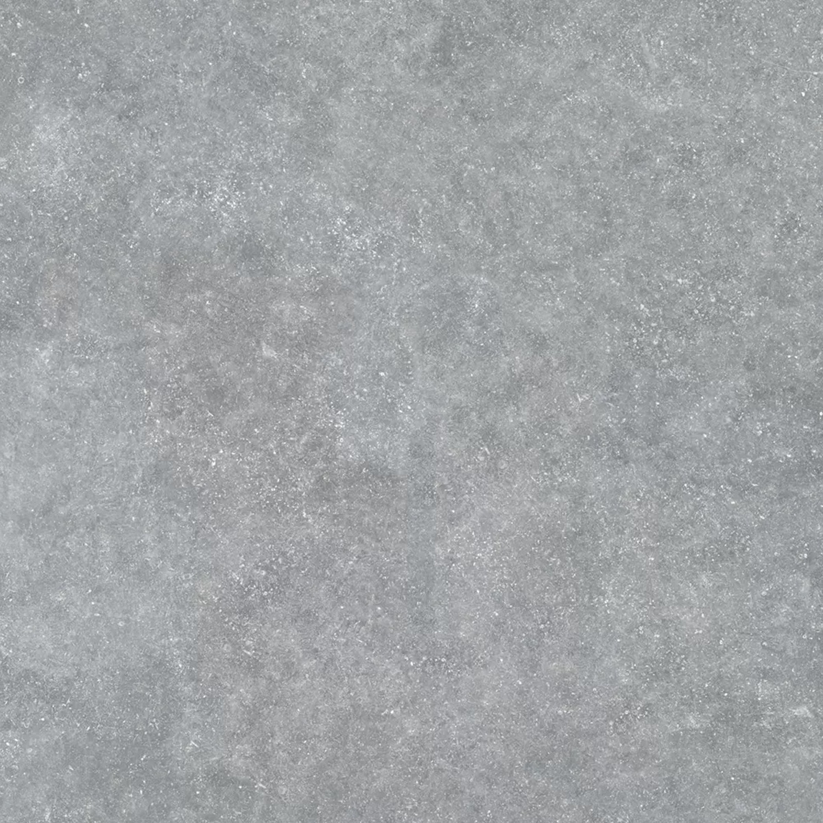 BASE_P ARDENAS GRIS C-3 (1 сорт)