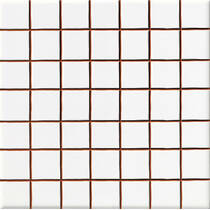 Плитка Ceramica Deseo Blanco brillo 2.5*2.5 20х20 см, фото №2
