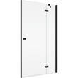 Душевые двери с фиксированной стенкой Ronal Annea BlackLine AN13WD12000607 120х200 см распашные правые, профиль черный матовый, прозрачное стекло, фото 1