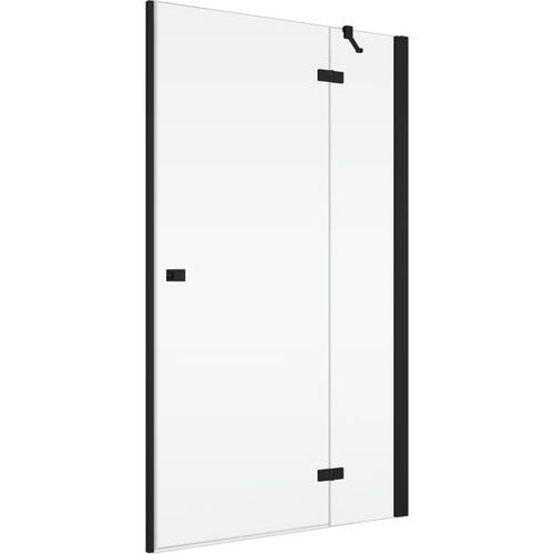 Душевые двери с фиксированной стенкой Ronal Annea BlackLine AN13WD12000607 120х200 см распашные правые, профиль черный матовый, прозрачное стекло, фото 1