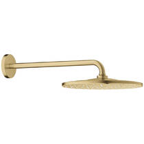 Верхний душ Grohe Rainshower 310 Mono 26558GN0 с кронштейном, брашированное золото, фото №2