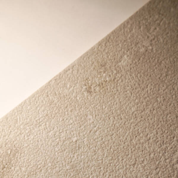 Керамограніт Alaplana P.E. Portland Bone Mate 60х120 см, фото 7