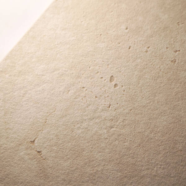 TR0212 TRAVERTINO BIANCO CROSS CUT SQ. 120X120 — фото 9