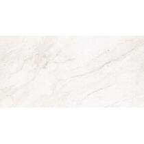Керамогранит Almera Ceramica-2 Englend White *** 60x120 см, фото №4