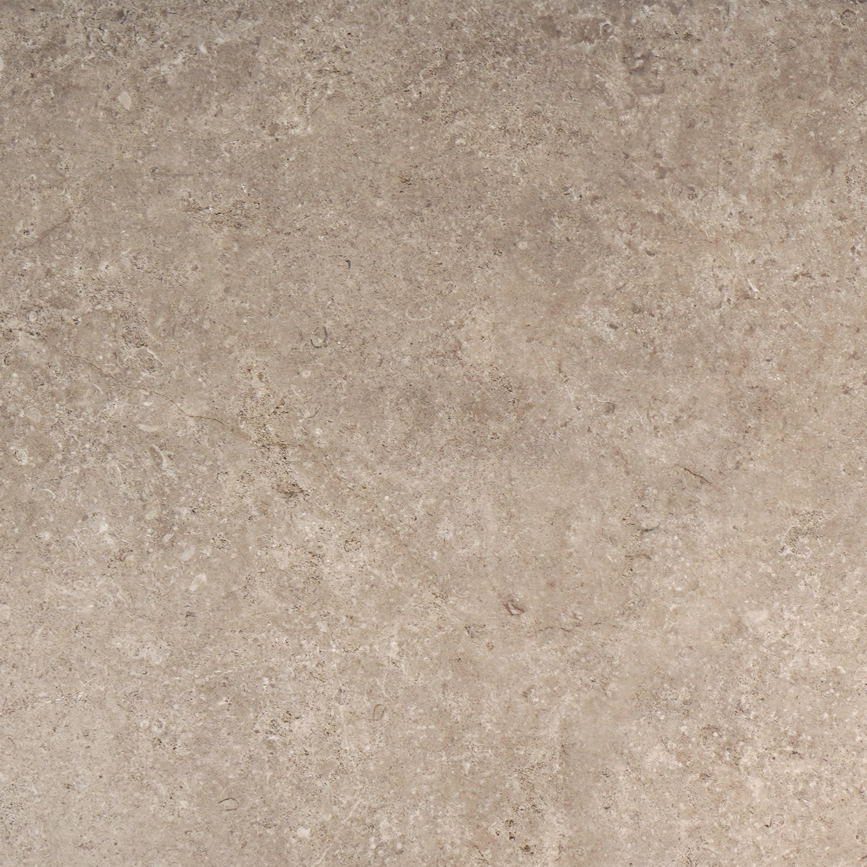 LST52RT LST TAUPE 60X120 RETT (1 сорт)