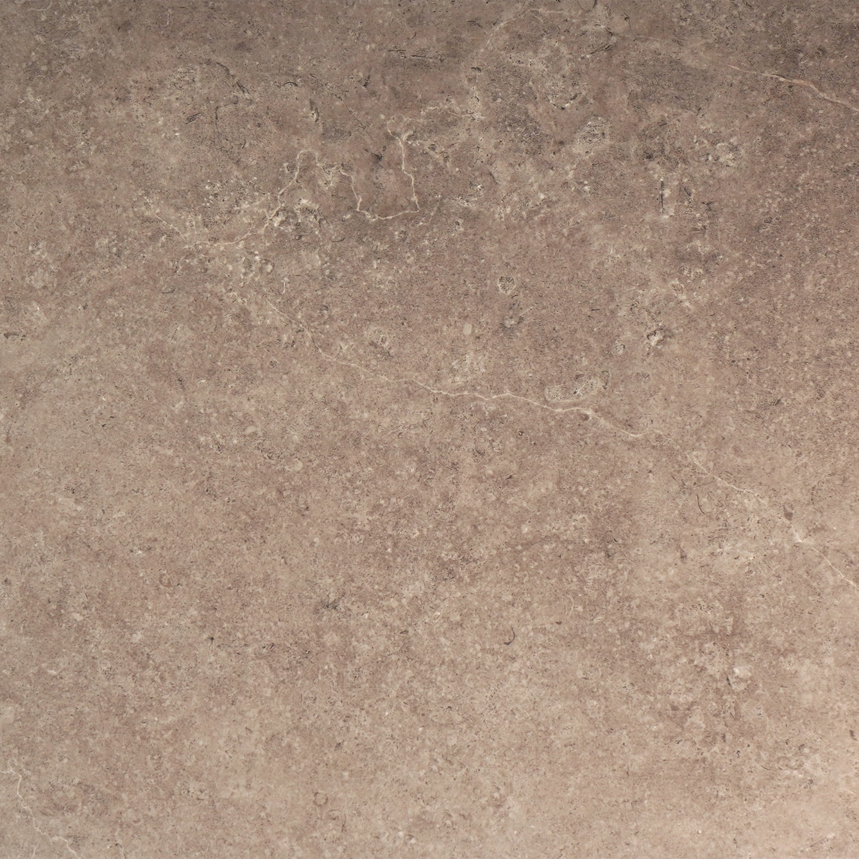 LST62RT LST EARTH 60X120 RETT (1 сорт)