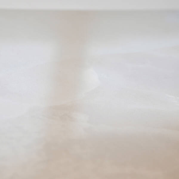 COCONUT ON 01 PRL SQ 60x120 — фото 7