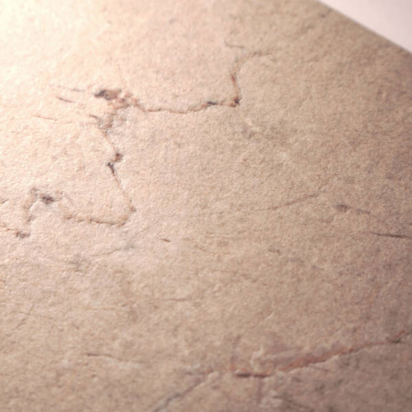 Керамограніт Italgraniti CL03BA Calcis Visone Sq. 60х120 см, фото 8