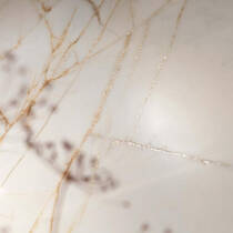 Керамограніт Flaviker Supreme Hedonism Golden Spider Lux 3D R 0017238 60x120 см, фото №4