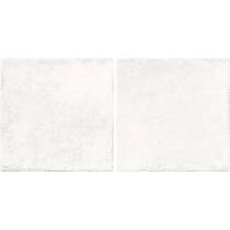 Керамограніт Almera Ceramica (Spain) Bright Talco 10x20 см, фото №1