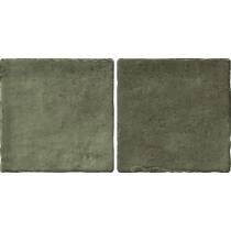 Керамограніт Almera Ceramica (Spain) Bright Salvia 10x20 см, фото №1