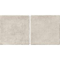 Керамограніт Almera Ceramica (Spain) Bright Corda 10x20 см, фото №1