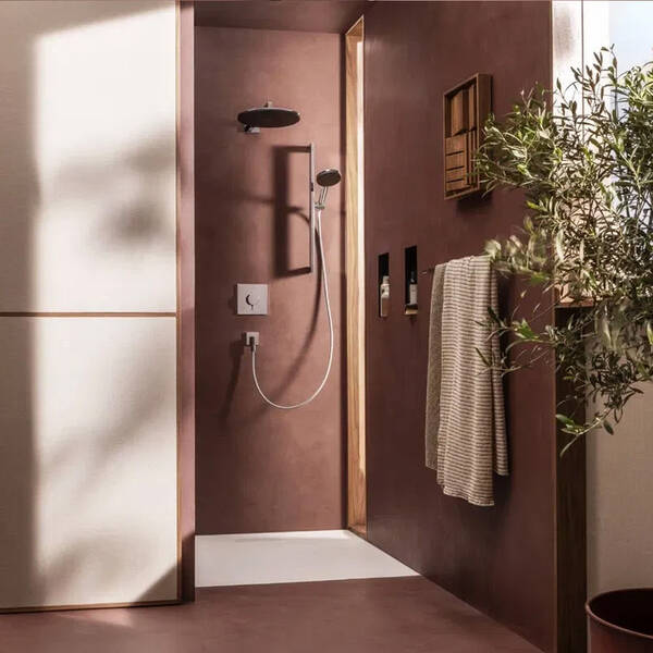 Верхний душ Hansgrohe Raindance Alive S 24520000 300 1jet хром, фото 5