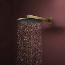 Верхний душ Hansgrohe Raindance Alive S 24520140 300 1jet матовая бронза, фото №4