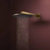 Верхний душ Hansgrohe Raindance Alive S 24520140 300 1jet матовая бронза, фото №3