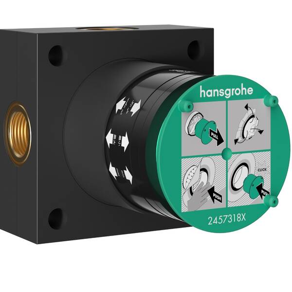 Внутрішня частина верхнього душу Hansgrohe Raindance Alive 24573180 2jet, фото 1