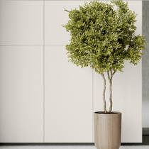 Керамограніт Cerrad Gres Monolight Exterior White R 10 Rect 30x60 см, фото №1
