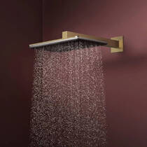 Верхній душ Hansgrohe Raindance Alive Q 24530140 210/340 1jet матова бронза, фото №4