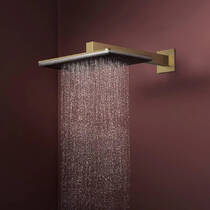 Верхній душ Hansgrohe Raindance Alive Q 24530140 210/340 1jet матова бронза, фото №3