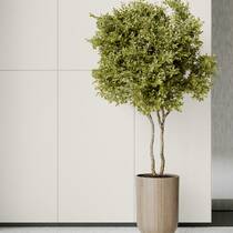 Керамограніт Cerrad Monolight White 60х120 см, фото №3