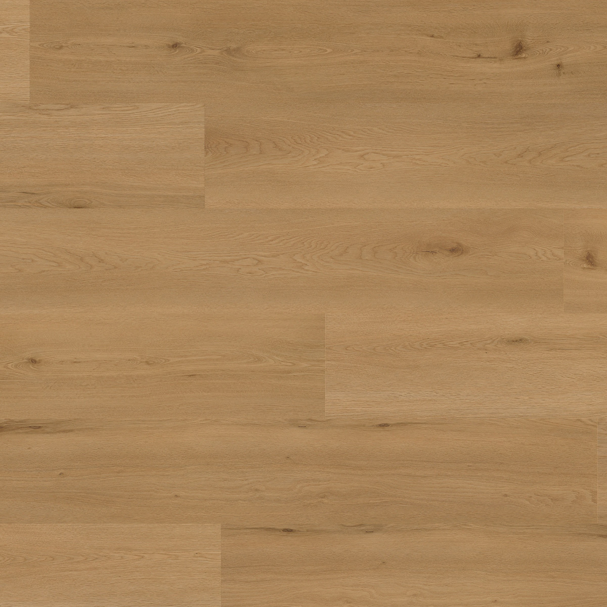 Вінілове покриття Oak Lyon* SOLID 2448 /1101290001 (1 сорт)