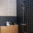 Душовий набір Hansgrohe Activera Select S 2jet EcoSmart 28044000 зі стійкою 65 см, хром, фото 1