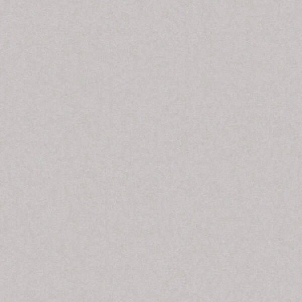 GRES MONOLIGHT EXTERIOR GREY RECT — фото 2