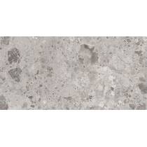 Керамогранит Ceramica Deseo Ambra Серый L72980 60Х120 см, фото №2