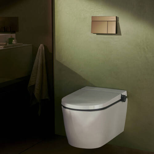 Змивна клавіша iFrame Element E Hansgrohe brushed bronze - купити