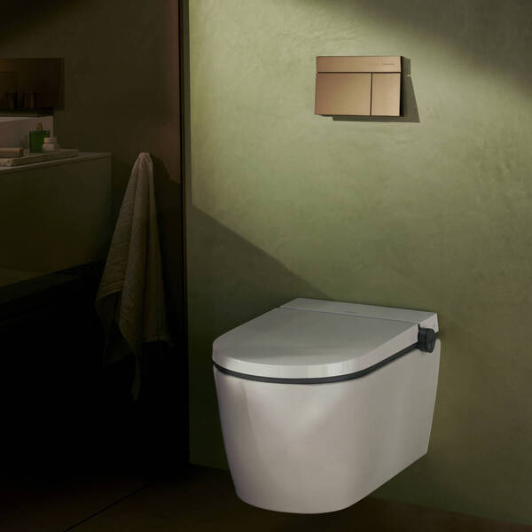リロヒメ Клавіша змиву Hansgrohe iFrame Element E, Brushed Bronze 66003140