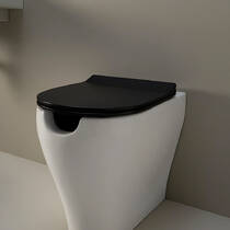 Кришка для унітаза Flaminia App APCW05CAR Soft Close та quick-release, карбон матовий, фото №1