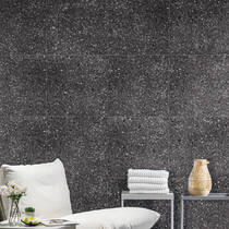 Керамограніт Lasselsberger Rako Porfido DAS62812 Black 59,8x59,8 см, фото №1