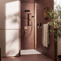 Душовий набір Hansgrohe Raindance Alive Select S 24602140 зі штангою, бронза матовий, фото №1