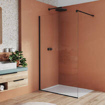 Душевая стенка Ronal Easy Line Walk-In STR4P0800607 200х80 см, фото №1