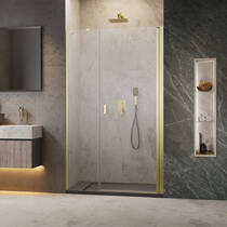 Душевые двери Radaway Nes 10028100-99-01R 100х200 см распашные правые, фото №1