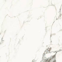 Керамограніт La Faenza Aesthetica AE CAP6 120 LP 182574 120х120 см, фото №2