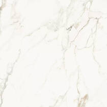 Керамограніт La Faenza Aesthetica AE CAP6 120 LP 182574 120х120 см, фото №4