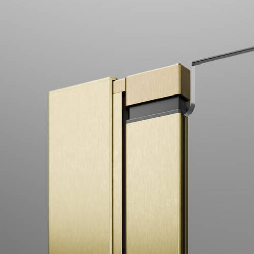 Душові двері в нішу Radaway Nes Brushed Gold DWS 10028100-99-01R, 1000Rx2000, профіль брашоване золото, прозоре скло, розпашні праві, фото 5