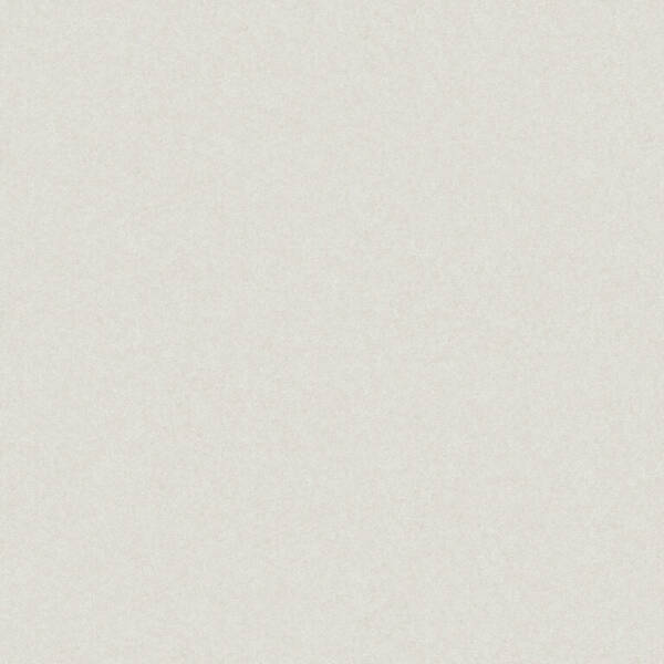 Керамогранит Cerrad Monolight Exterior White Rect 60x60 см, фото 2