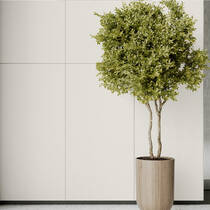 Керамограніт Cerrad Monolight Exterior White Rect 60x60 см, фото №1