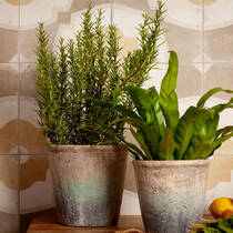 Керамограніт Peronda Fs Farfalla Mustard/45x45x0,95 45x45 см, фото №4