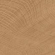 Керамограніт Emil Ceramica (Provenza) W-Circles ENJE WCI Walnut 10х10 см, фото 2