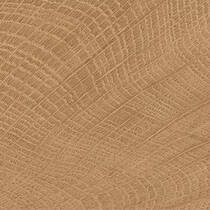 Керамограніт Emil Ceramica (Provenza) W-Circles ENJE WCI Walnut 10х10 см, фото №2