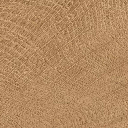 Керамограніт Emil Ceramica (Provenza) W-Circles ENJE WCI Walnut 10х10 см, фото 2