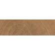 Керамограніт Emil Ceramica (Provenza) W-Circles Enja Wci Walnut 5,3х30 см, фото 2